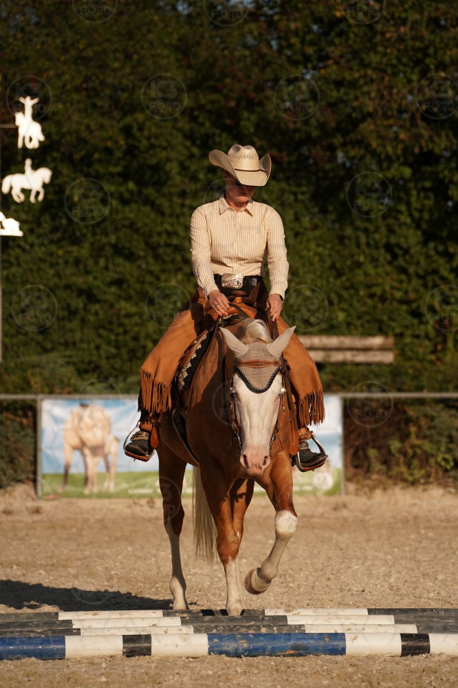s_A_906789.JPG